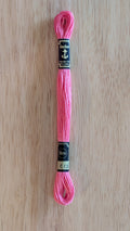 Anchor 0040