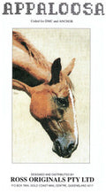 Appaloosa