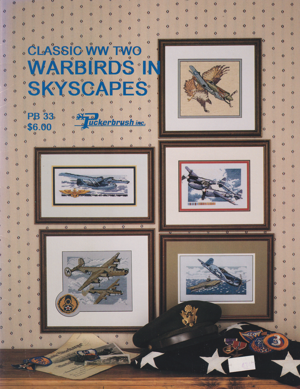 Classic  WW Two Warbirds In  Skycapes