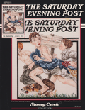 No Swimming The Saturday Evening Post