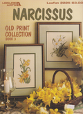 Narcissus