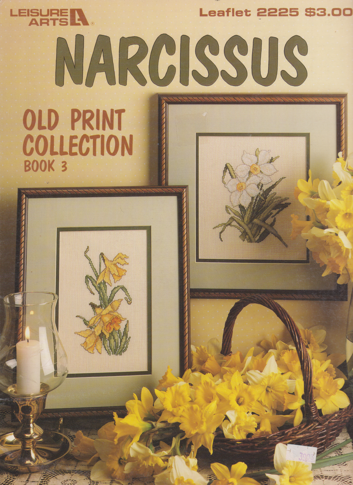 Narcissus